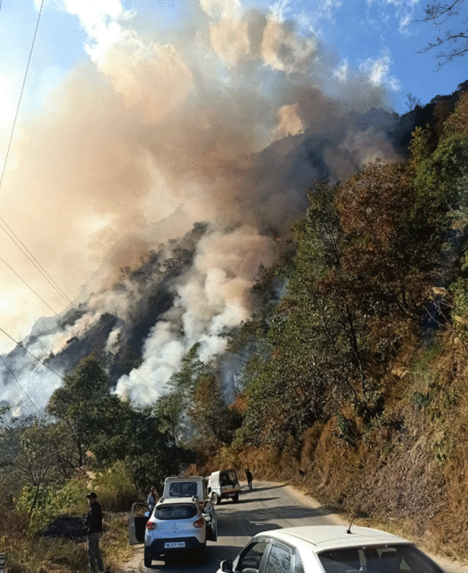 Jungle fire in Jakhama doused – NAGA REPUBLICNAGA REPUBLIC
